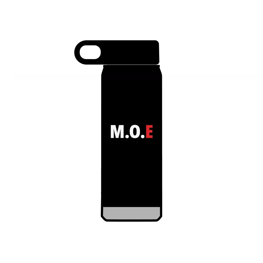 M.O.E Stainless Steel Water Bottle with Straw Lid